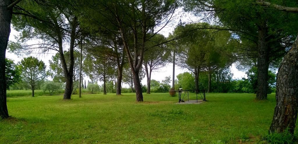 Agriturismo Podere Caggiolo - Swimming Pool & Air Conditioning Marciano della Chiana 외부 사진