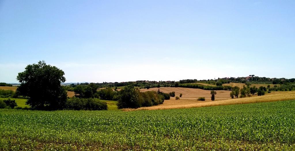 Agriturismo Podere Caggiolo - Swimming Pool & Air Conditioning Marciano della Chiana 외부 사진