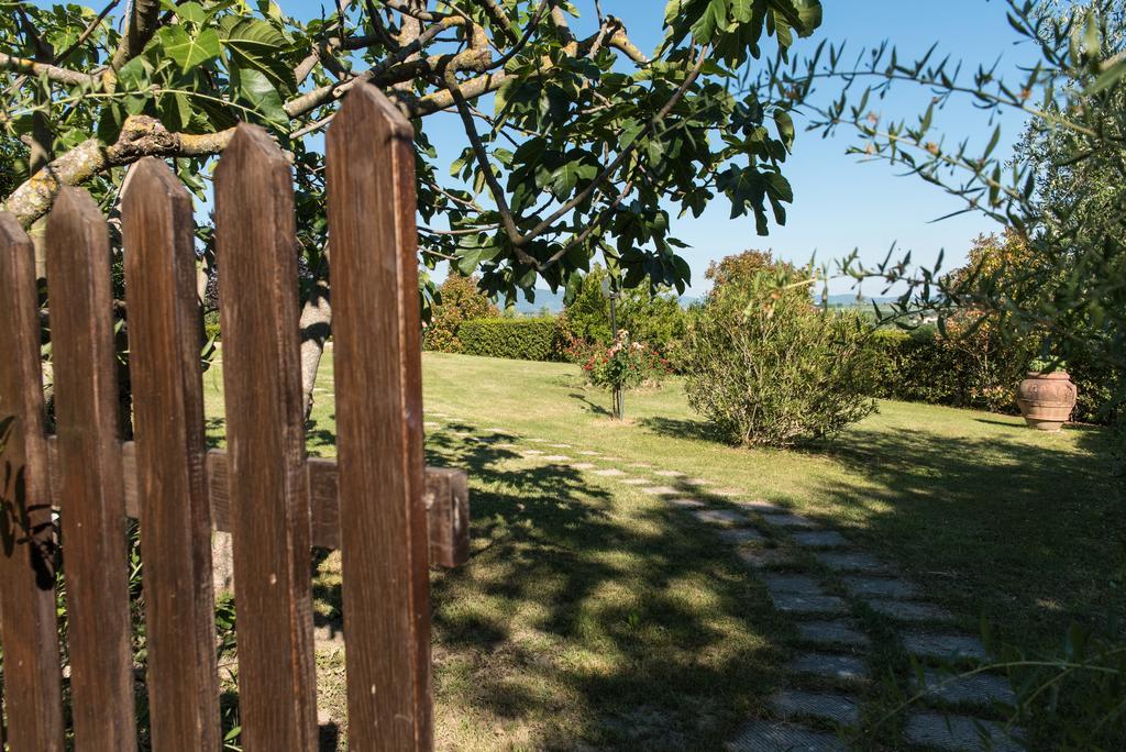 Agriturismo Podere Caggiolo - Swimming Pool & Air Conditioning Marciano della Chiana 외부 사진